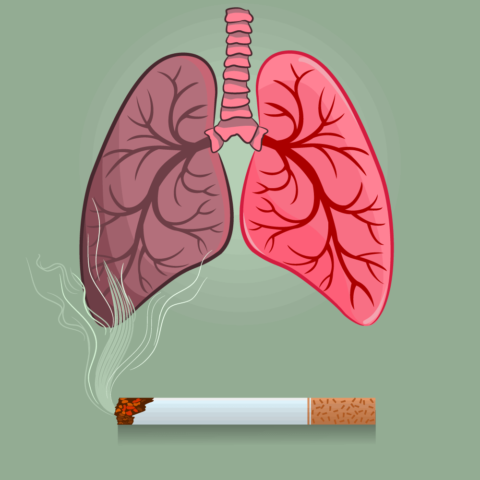 Why Should You Quit Smoking | Benefits of Quitting Smoking