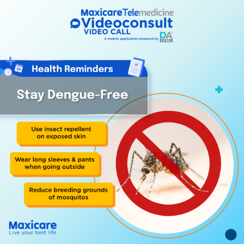 How to Stay Dengue-Free During the Rainy Season - Premier Healthcare ...